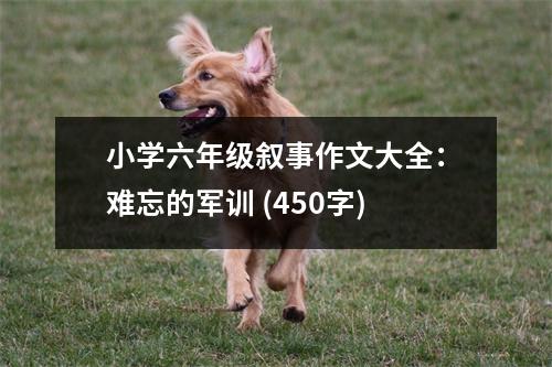 小學(xué)六年級(jí)敘事作文大全：難忘的軍訓(xùn) (450字)