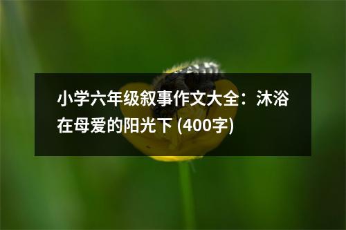 小學(xué)六年級(jí)敘事作文大全：沐浴在母愛的陽(yáng)光下 (400字)