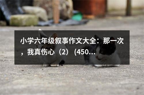 小學六年級敘事作文大全：那一次，我真?zhèn)模?） (450字)
