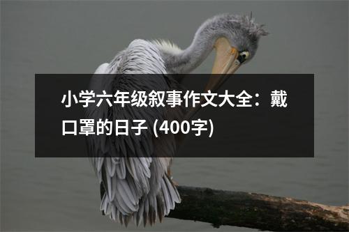 小學六年級敘事作文大全：戴口罩的日子 (400字)