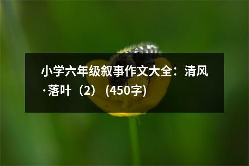 小學(xué)六年級(jí)敘事作文大全：清風(fēng)·落葉（2） (450字)