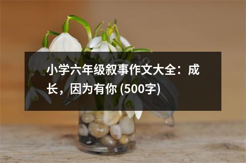 小學(xué)六年級(jí)敘事作文大全：成長(zhǎng)，因?yàn)橛心?(500字)