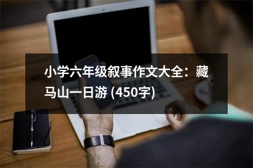 小學(xué)六年級(jí)敘事作文大全：藏馬山一日游 (450字)
