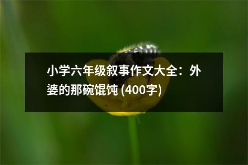 小學(xué)六年級(jí)敘事作文大全：外婆的那碗餛飩 (400字)