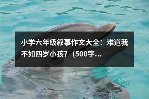 小學六年級敘事作文大全：難道我不如四歲小孩？ (500字)