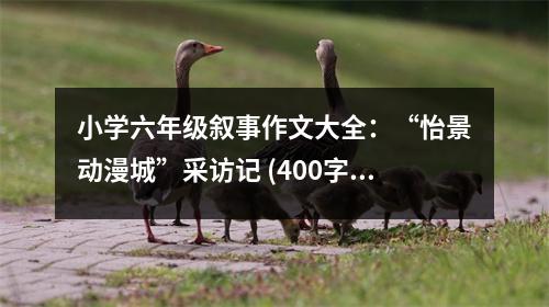 小學六年級敘事作文大全：“怡景動漫城”采訪記 (400字)