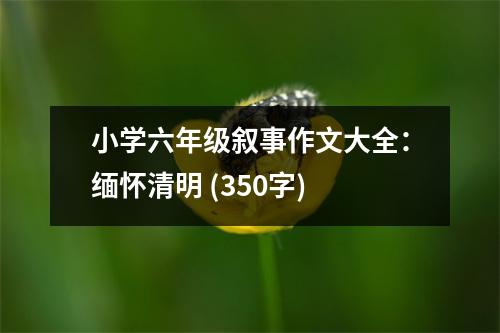 小學六年級敘事作文大全：緬懷清明 (350字)