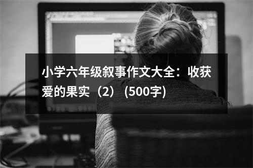 小學(xué)六年級(jí)敘事作文大全：收獲愛的果實(shí)（2） (500字)
