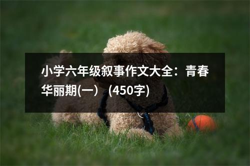 小學(xué)六年級(jí)敘事作文大全：青春華麗期(一） (450字)