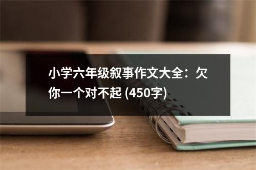 小學(xué)六年級(jí)敘事作文大全：欠你一個(gè)對(duì)不起 (450字)
