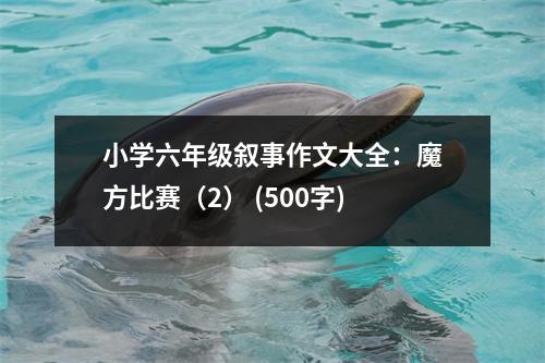 小學(xué)六年級敘事作文大全：魔方比賽（2） (500字)
