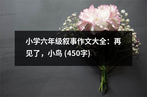 小學(xué)六年級敘事作文大全：再見了，小鳥 (450字)