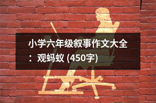 小學(xué)六年級敘事作文大全：觀螞蟻 (450字)