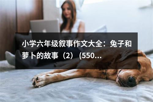 小學(xué)六年級敘事作文大全：兔子和蘿卜的故事（2） (550字)