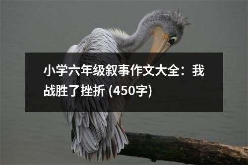 小學六年級敘事作文大全：我戰(zhàn)勝了挫折 (450字)