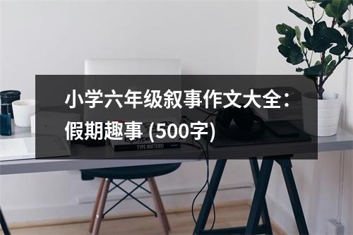 小學六年級敘事作文大全：假期趣事 (500字)