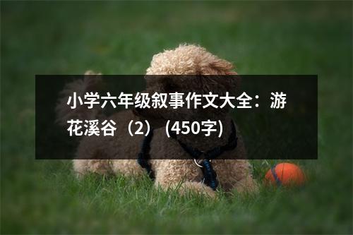 小學(xué)六年級敘事作文大全：游花溪谷（2） (450字)