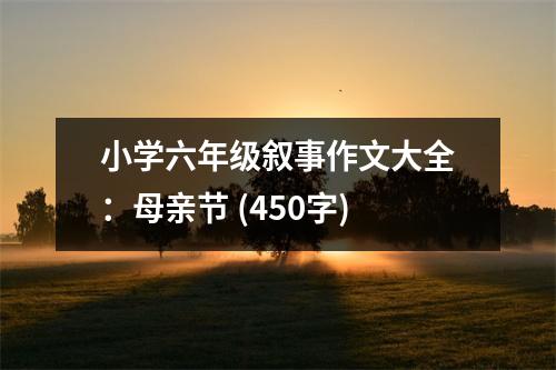 小學六年級敘事作文大全：母親節(jié) (450字)