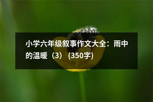 小學六年級敘事作文大全：雨中的溫暖（3） (350字)