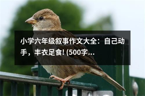 小學(xué)六年級敘事作文大全：自己動手，豐衣足食! (500字)