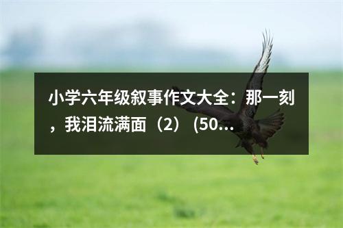 小學(xué)六年級敘事作文大全：那一刻，我淚流滿面（2） (500字)