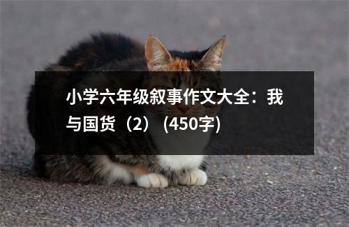 小學(xué)六年級(jí)敘事作文大全：我與國(guó)貨（2） (450字)