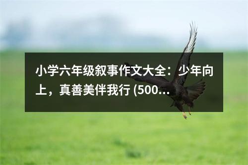 小學(xué)六年級敘事作文大全：少年向上，真善美伴我行 (500字)