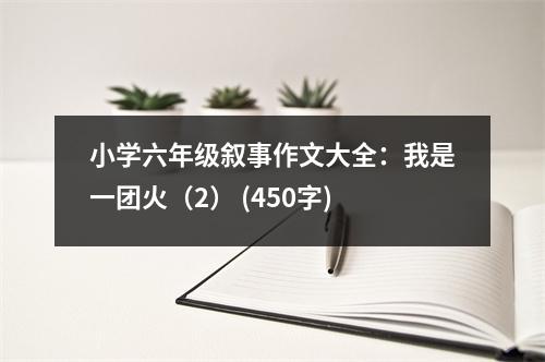 小學(xué)六年級敘事作文大全：我是一團(tuán)火（2） (450字)