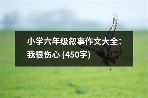 小學(xué)六年級敘事作文大全：我很傷心 (450字)