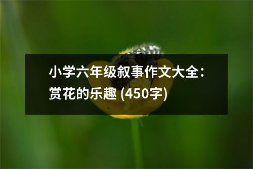 小學(xué)六年級敘事作文大全：賞花的樂趣 (450字)
