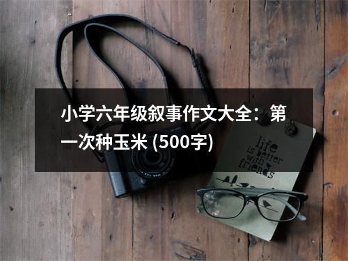 小學(xué)六年級敘事作文大全：第一次種玉米 (500字)
