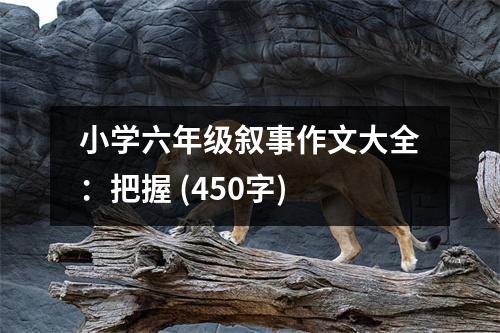 小學(xué)六年級敘事作文大全：把握 (450字)