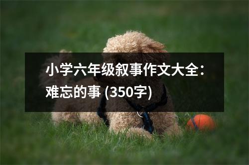 小學(xué)六年級敘事作文大全：難忘的事 (350字)