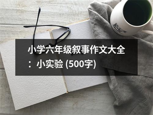 小學(xué)六年級敘事作文大全：小實(shí)驗(yàn) (500字)