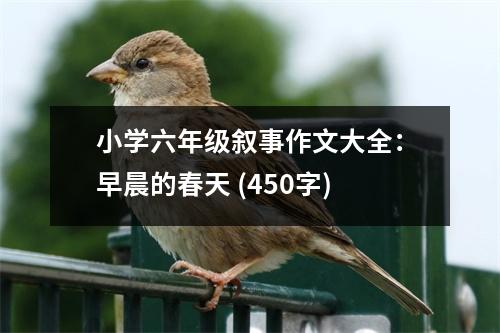 小學(xué)六年級(jí)敘事作文大全：早晨的春天 (450字)