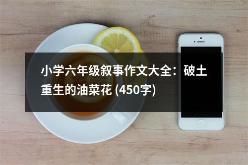 小學(xué)六年級(jí)敘事作文大全：破土重生的油菜花 (450字)