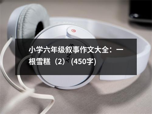 小學(xué)六年級(jí)敘事作文大全：一根雪糕（2） (450字)