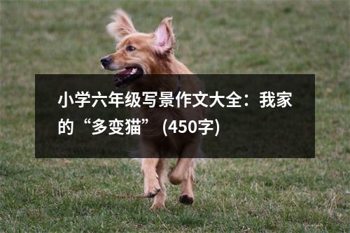 小學(xué)六年級寫景作文大全：我家的“多變貓” (450字)