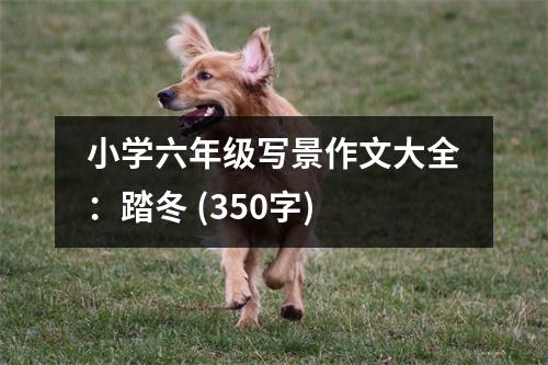 小學(xué)六年級寫景作文大全：踏冬 (350字)