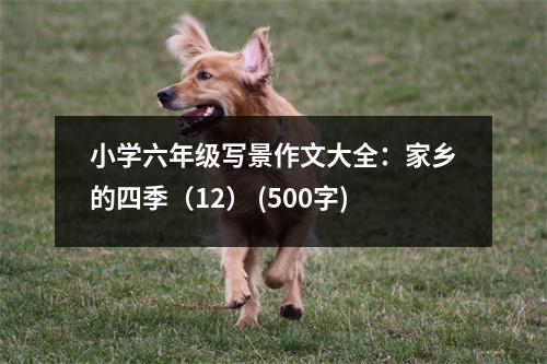 小學(xué)六年級寫景作文大全：家鄉(xiāng)的四季（12） (500字)