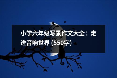 小學(xué)六年級(jí)寫(xiě)景作文大全：走進(jìn)音響世界 (550字)