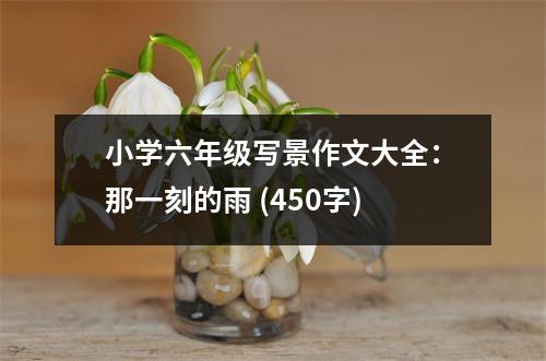 小學(xué)六年級寫景作文大全：那一刻的雨 (450字)