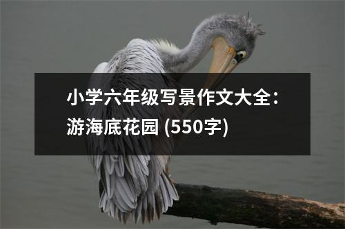 小學(xué)六年級(jí)寫景作文大全：游海底花園 (550字)