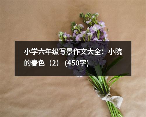 小學六年級寫景作文大全：小院的春色（2） (450字)