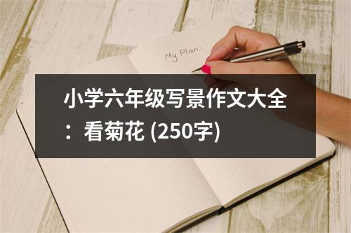 小學(xué)六年級(jí)寫景作文大全：看菊花 (250字)