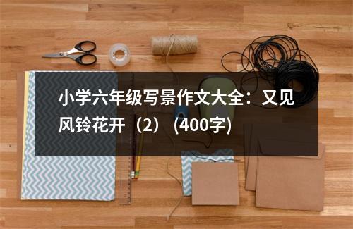 小學(xué)六年級(jí)寫景作文大全：又見風(fēng)鈴花開（2） (400字)