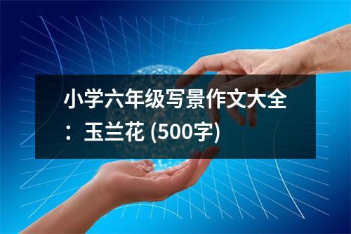 小學(xué)六年級寫景作文大全：玉蘭花 (500字)