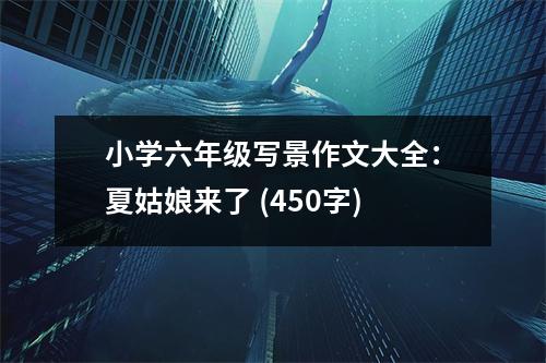 小學(xué)六年級(jí)寫景作文大全：夏姑娘來了 (450字)
