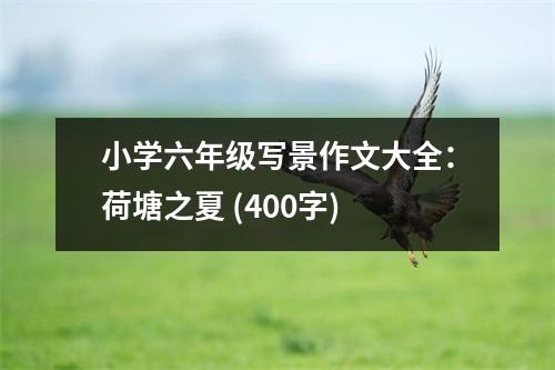 小學(xué)六年級(jí)寫景作文大全：荷塘之夏 (400字)
