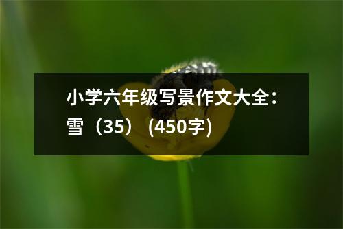小學(xué)六年級(jí)寫景作文大全：雪（35） (450字)